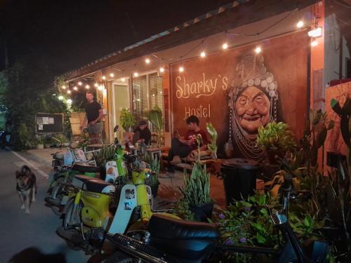 Pai Hostel | Sharky's Hostel