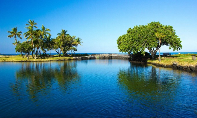 Union City House | Shop, dine, and explore in Union City !