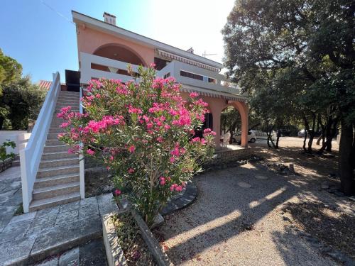 Simuni Villa | Šimuni holiday home by Pag tours