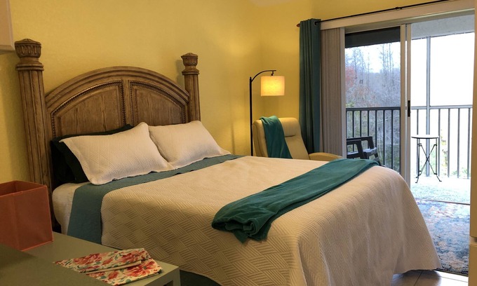 Lutz Condo | Sky View Mirrors Nature Fountain