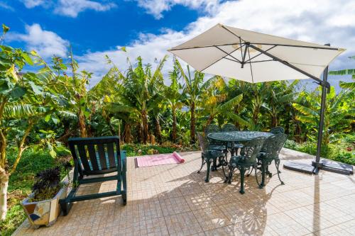 Ponta do Sol House | Sleep Among the Bananas! Rustic Cottage with Trails at Your Doorstep