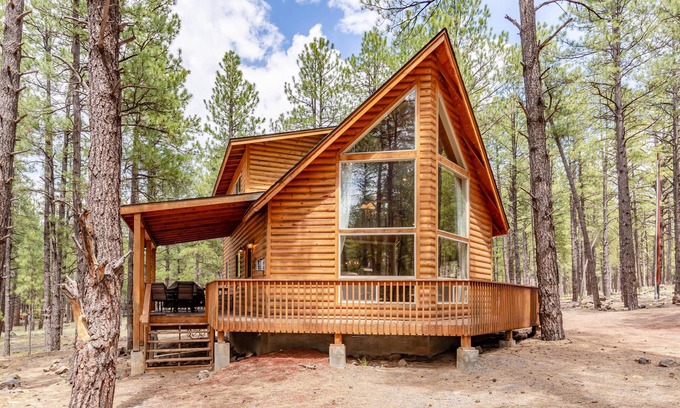 Williams Cabin | Snow Time In The Mountains! - Moose Manor