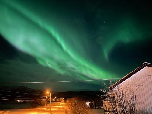 Botnhamn Apartment | Solheim Apartment