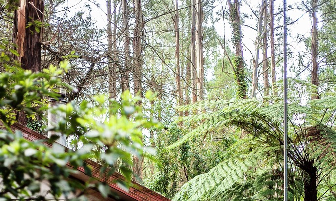 Mount Dandenong Cottage | Spa Cottage in 7 acre Rain Forest Paradise