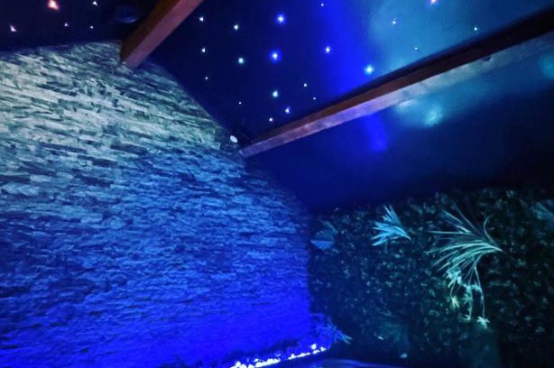 Mennecy Villa | Spa&House91