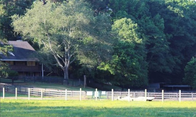 Milton Other | Spacious 2 BR/1.5 BA farmhouse in Alpharetta, GA horse country.