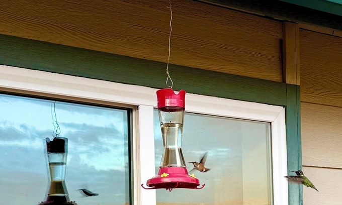 Squaw Valley House | Spacious 4-bedroom house near wonderful Sequoia and Kings Canyon National Park