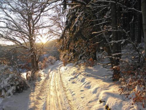 Madfeld Apartment | Spacious Apartment in Madfeld with Private Terrace