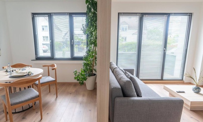 Willroth Apartment | Standard Studio with dog - Colakation GmbH