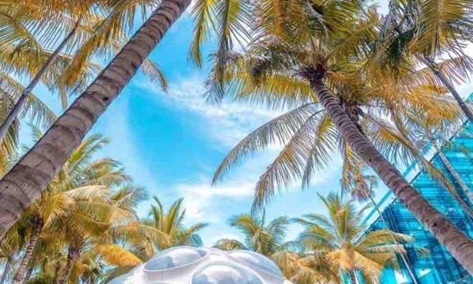 Liberty City Apartment | Stanza Wynwood Parking Laundry Wifi