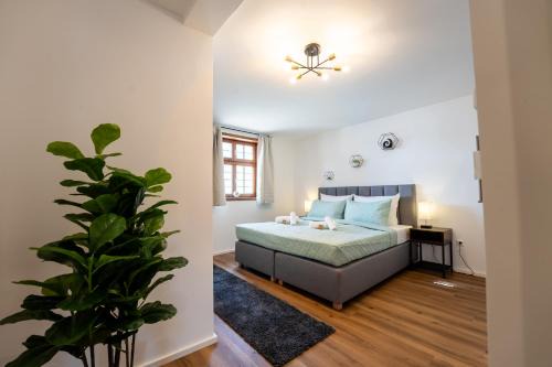 Steinsfurt Apartment | stayARoundhomes Fachwerk-Design-Appartement