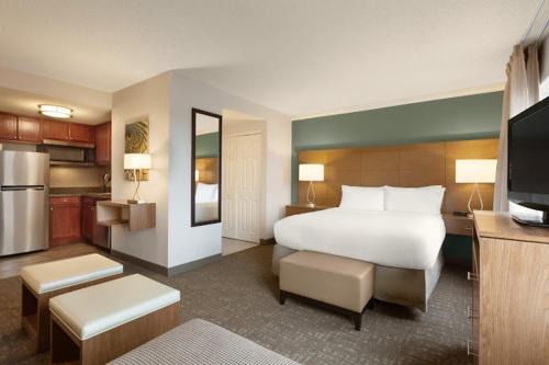 Tampa Hotel | Staybridge Suites Hotel