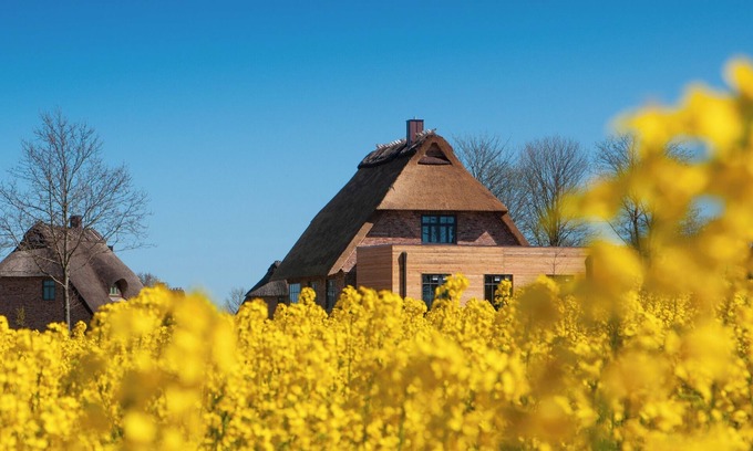 Nieby House | Steilküste, das Atelierhaus Unter Reet für bis zu 8 Personen&direktem Seeblick