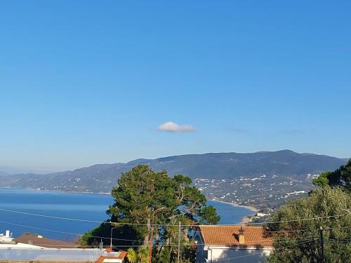 Centola Bed & Breakfast | Stella marina