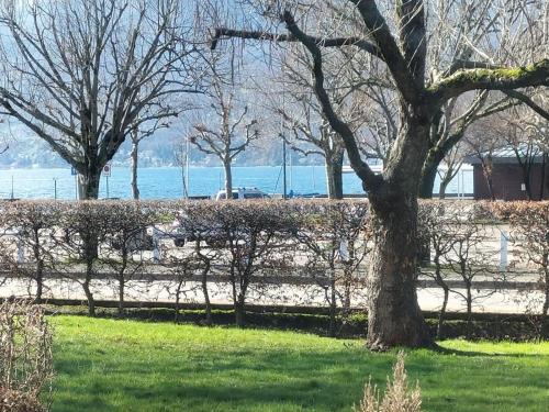 Aix-les-Bains Apartment | -Studio Aix les bains face au lac-