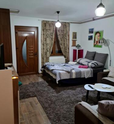 Doboj Apartment | Studio Apartman Ana Doboj