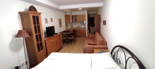 Donovaly Apartment | Studio apartman Tatran A-29