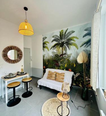 Centre Ville Apartment | Studio Bohème hypercentre