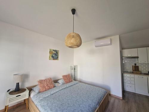 Valica Apartment | Studio Lav