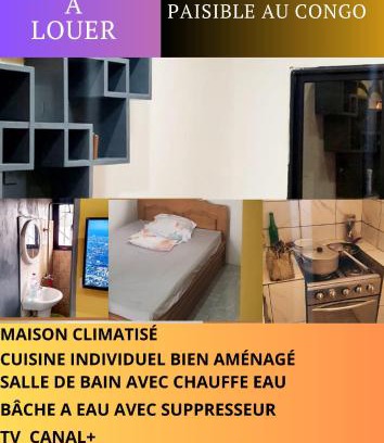 Republic of the Congo Apartment | Studio Meublé