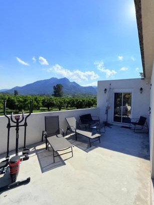 Santa-Lucia-di-Moriani Apartment | Studio vue sur les clémentiniers