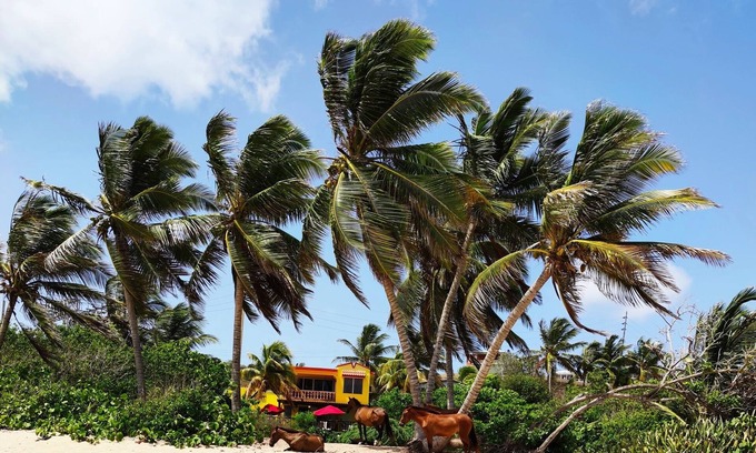 Puerto Diablo House | Stunning Beach Front House, 'Private beach door access" 4BR