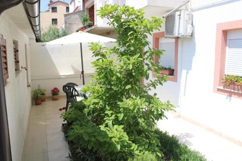 Vintijan Apartment | Sunce