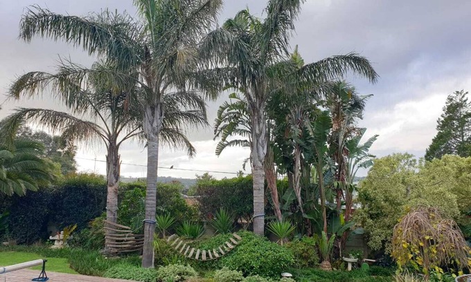 Eikenbosch House | Sunny family home in the winelands