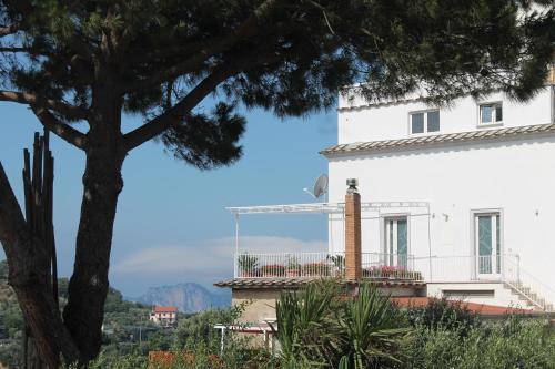 Schiazzano Bed & Breakfast | Sunset House