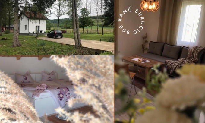 Laktasi House | Surucic800