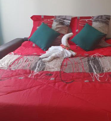 Sainte-Clotilde Apartment | T1 tout confort 2