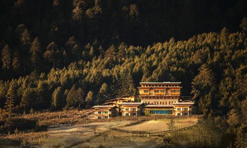 Thimphu Hotel | Taj Gangtey Resort and Spa Bhutan