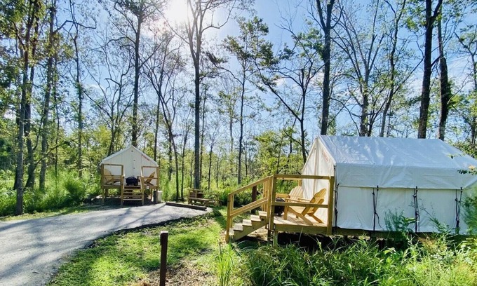 Springfield RV Rental | Tentrr State Park Site - Louisiana Tickfaw State Park - Woodland D - Double Camp