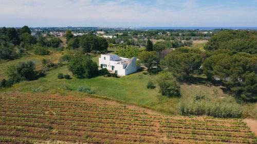Chiesanuova Bed & Breakfast | Tenuta Doxi