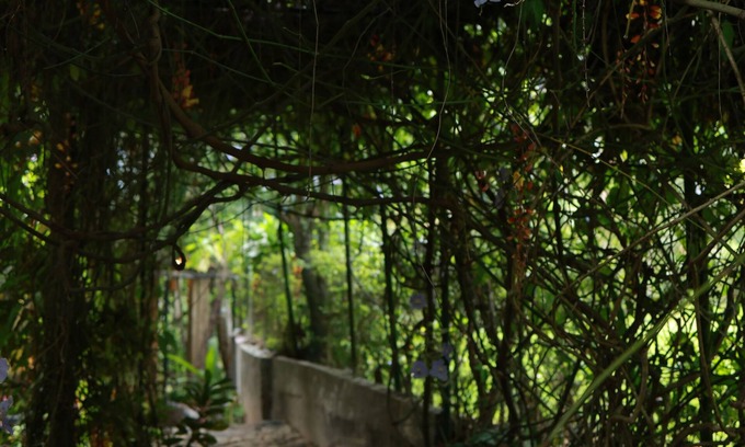 Kandy Ski Chalet | Terrific chalet with WiFi in charming Kandy