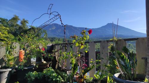 Tetebatu House | Tetebatu Terrace Homestay