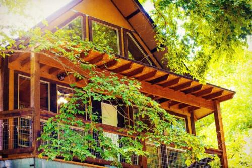 New Braunfels House | TH 4 - Whippoorwill Haus