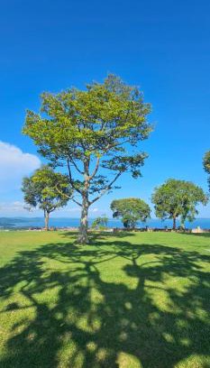 Kampala House | The Altitude Kigo