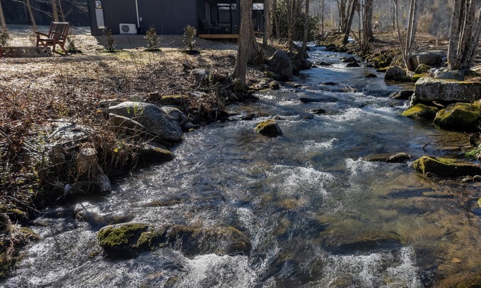 Cosby Cottage | The Bungalow - Pickleball Court, Creek, WIFI, Mountain Views, Starting at $79"
