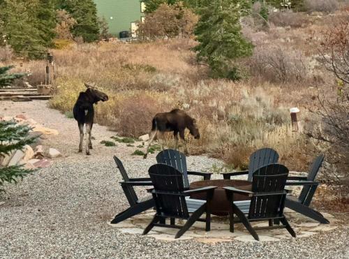 Summit Park House | The Crestview Cabin Hot Tub & Alpine Views