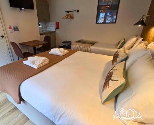 New Forest District Apartment | The Distinguished Squirrel - Room 4 - New Forest