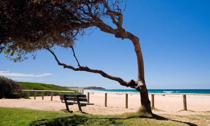 Dee Why House | The Eagles Nest - Great Position