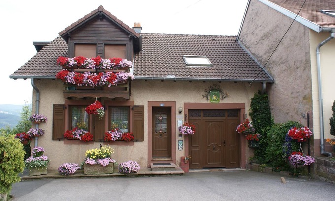 Haselbourg House | The gîte Fleuri with a magnificent view