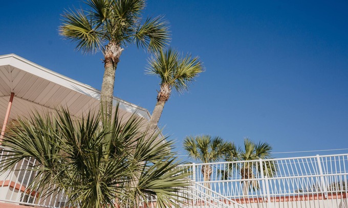 St. Augustine Hotel | The Local - St. Augustine