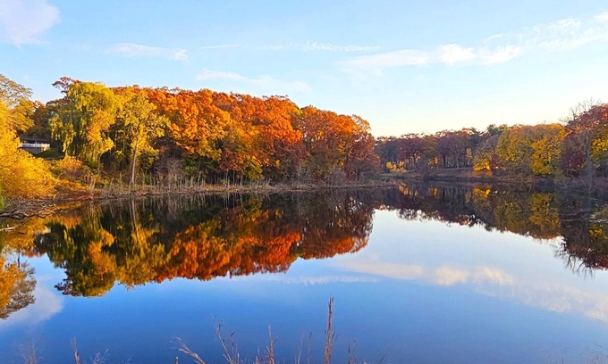 Lakeside Apartment | The Log Cabin - Tiny House - Tiny Digs Lakeshore