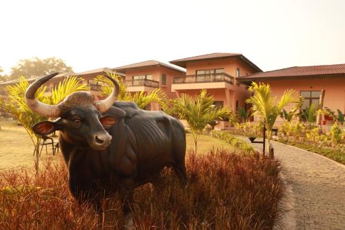 Turiya Resort | The Pench International