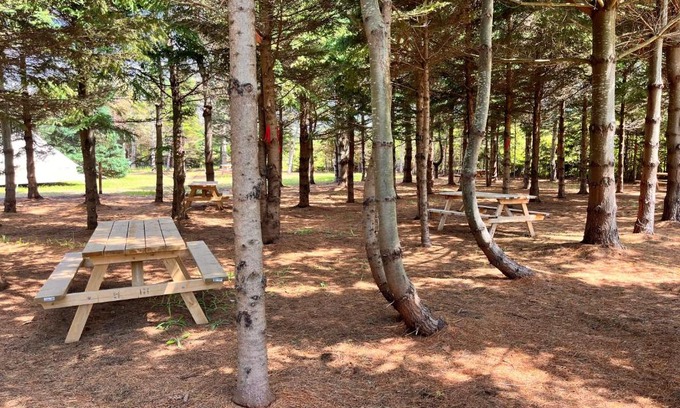 Brackley Beach Other | The Red Fox Campground