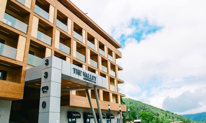 Bakuriani Apartment | The Valley Bakuriani MountInn