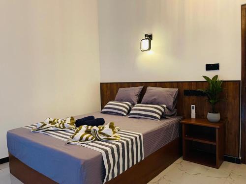 Dickwella Apartment | The Wasa Heaven