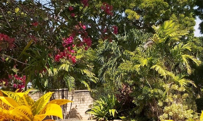 Tiwi Cottage | Tiwani Sunset Cottage - a little piece of Eden in Tiwi, Kenya